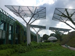 Green Energy