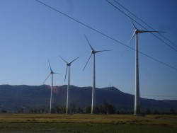 Wind Energy Powers 25% of UK Homes in 2014