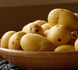 Mashed Potato Powered Factor