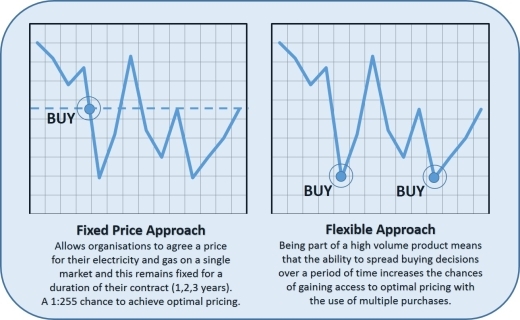 Flexible Gas Portfolio