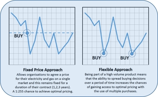 Flexible Gas Portfolio