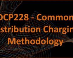 DCP228