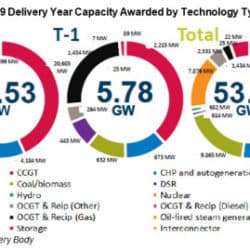 Capacity Market suspension