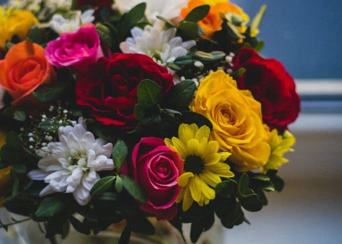 flowers