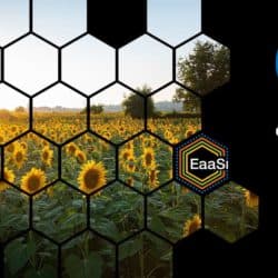 Green energy consultant