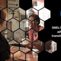 NetZero - SMEs lack support or advice on how to transition to net zero