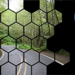 Net Zero Roadmap
