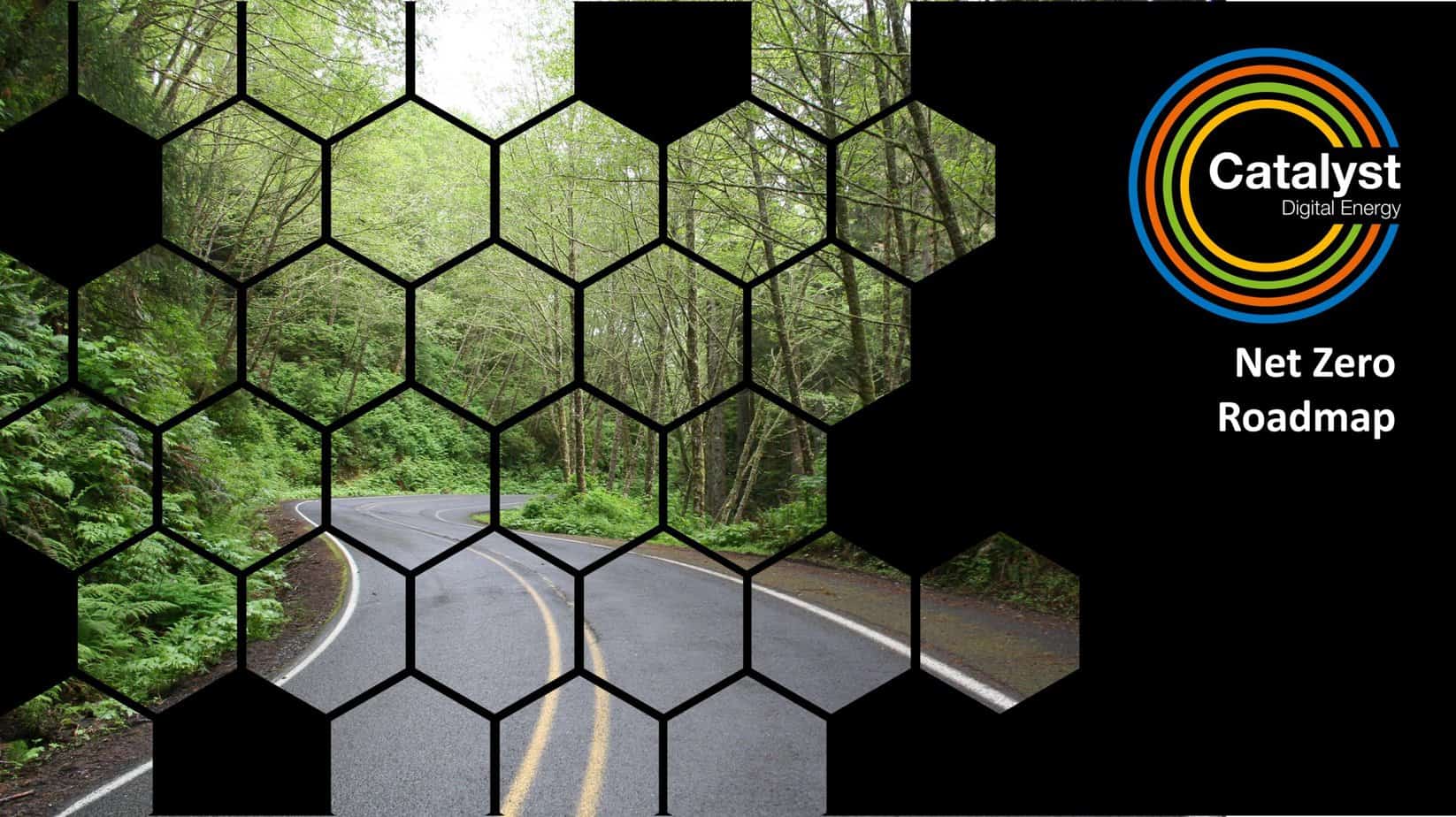 Net Zero Roadmap
