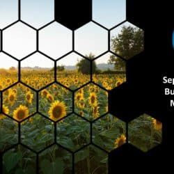Sep22 Business Energy Market Report