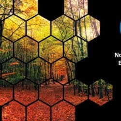 Nov22 Energy Market Brief