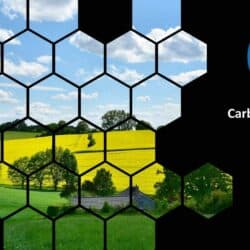 Carbon Voluntary Market