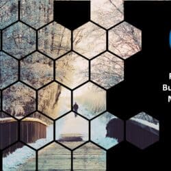 February 2023 Energy Market Brief