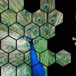 April 2023 Energy Market Brief