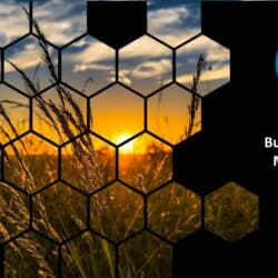 May 2023 Energy Market Brief