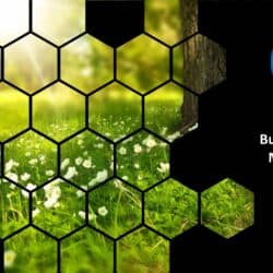 July 2023 Energy Market Brief