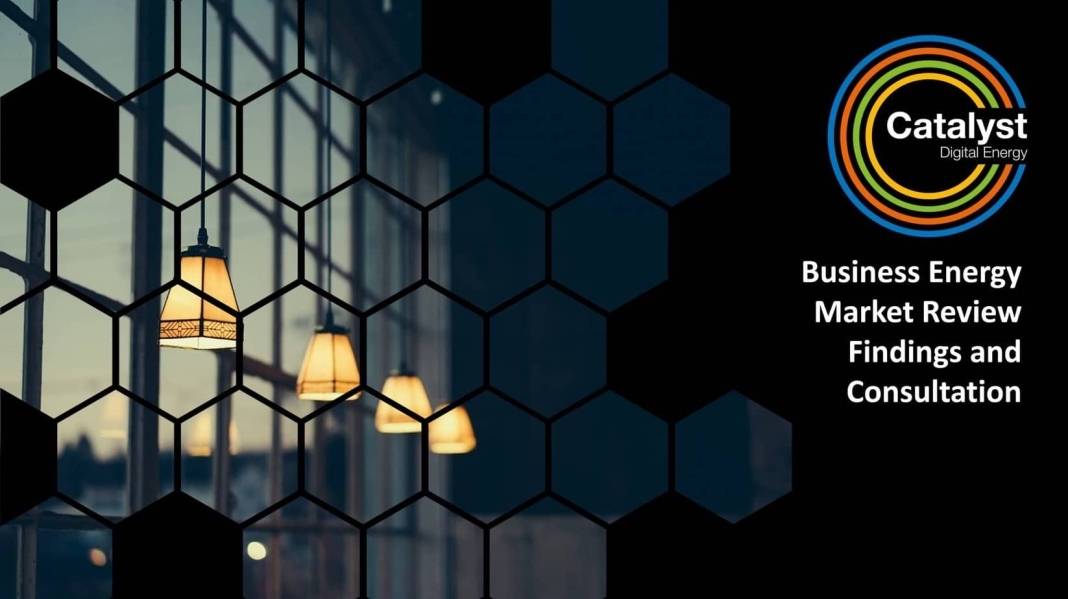 Business Energy Market Review Findings and Consultation