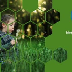 Net Zero Strategy