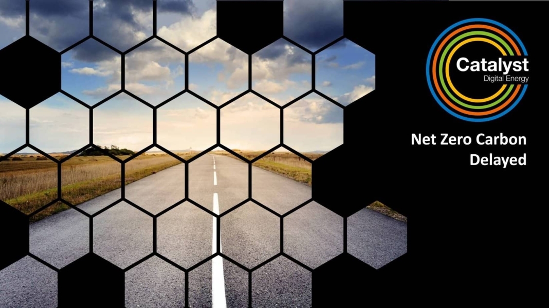Net Zero Carbon Delayed Net Zero Carbon Delayed