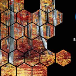 October 2023 Energy Market Brief