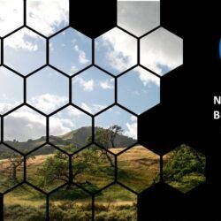 November 2023 Energy Market Brief