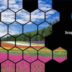 Scope 3 Emissions Reporting