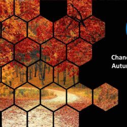 Chancellor delivers Autumn Statement
