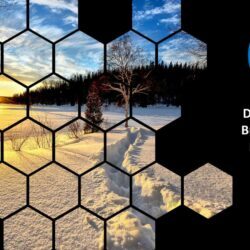 December 2023 Energy Market Brief