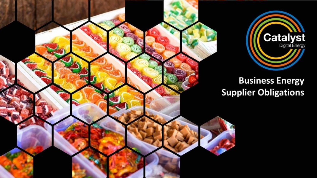 Business Energy Supplier Obligations