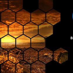 Februaury 2024 Energy Market Brief