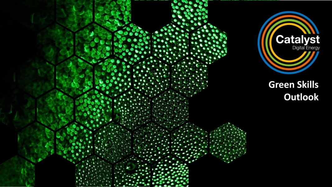 Green Skills Outlook Green Skills Outlook