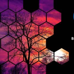 April 2024 Energy Market Brief