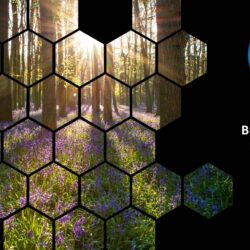 May 2024 Energy Market Brief