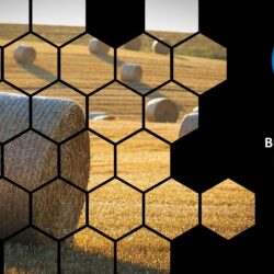 July 2024 Energy Market Brief