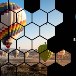 August 2024 Energy Market Brief