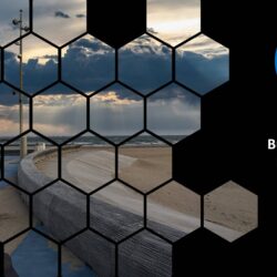 Oct24 Energy Market Brief