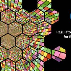 Regulatory Framework for Energy Brokers