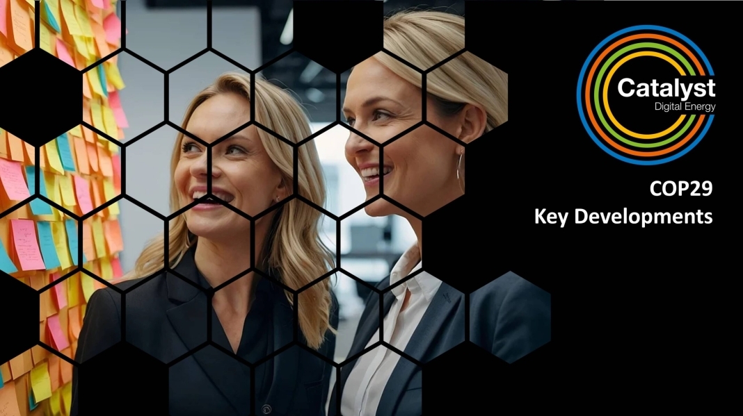 COP29 Key Developments COP29 Key Developments