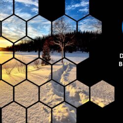 Dec24 Energy Market Brief