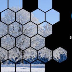 Jan25 Energy Market Brief