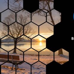 Feb25 Energy Market Brief