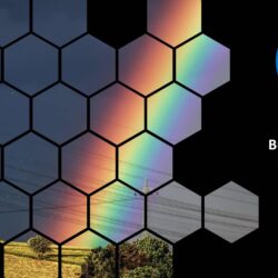 May25 Business Energy Market Report