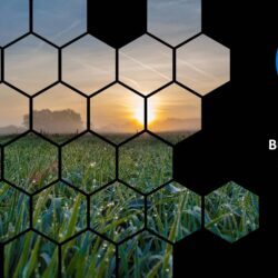 Jul25 Energy Market Brief