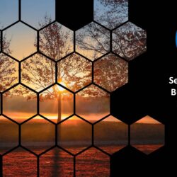 Sep25 Energy Market Brief