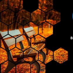 Oct25 Energy Market Brief