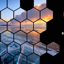 Feb26 Energy Market Brief