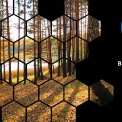 Mar26 Energy Market Brief